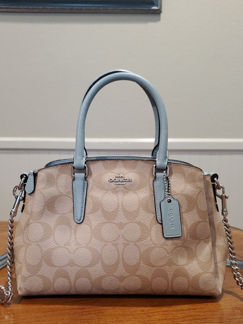 Coach Signature Mini Sage Carryall Robins Egg Blue